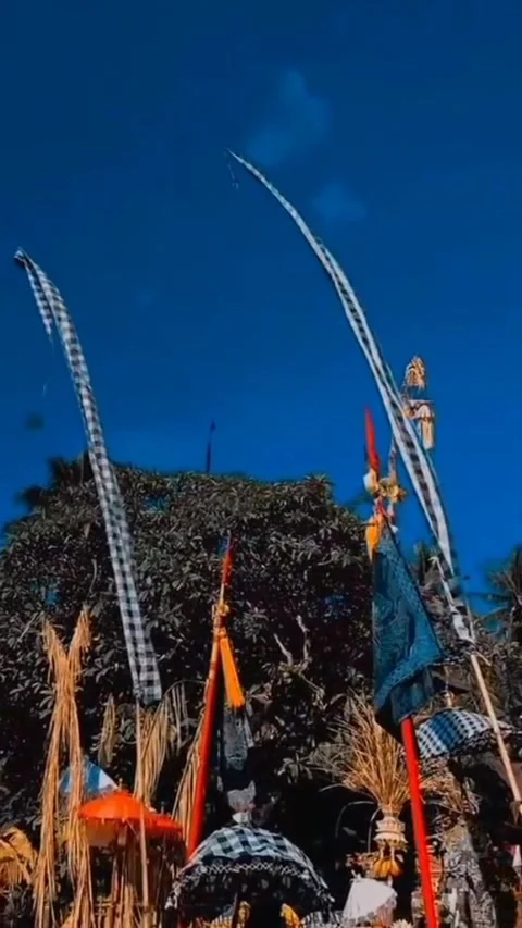 Natural view Video stock 171566630