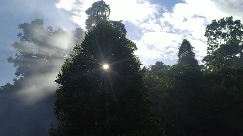 Natural view Stock Footage 205587817