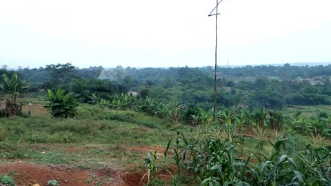 Natural View 動画素材 211168040