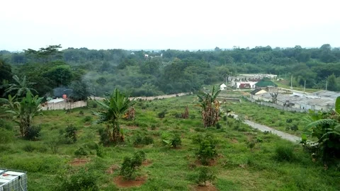 Natural View 動画素材 211443894