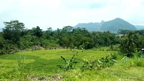 Natural View 動画素材 211449633