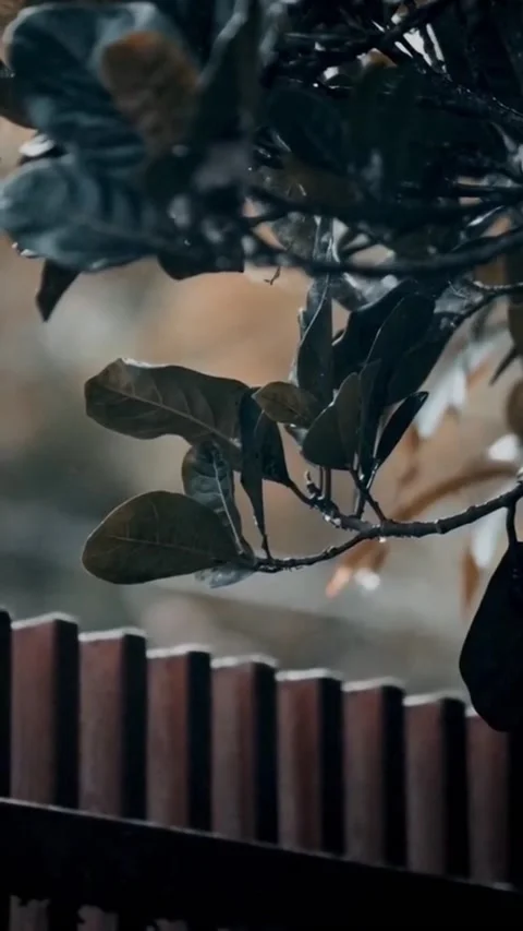 Natural view Video stock 218159065