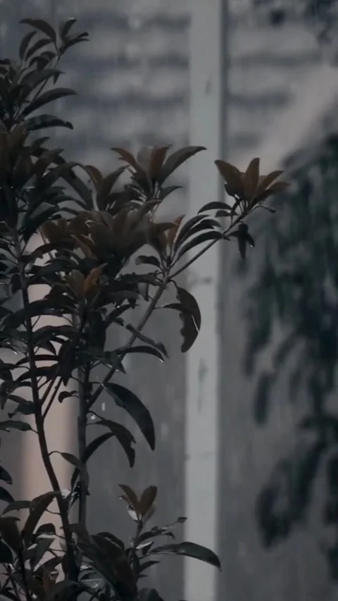 Natural view Video stock 218343635