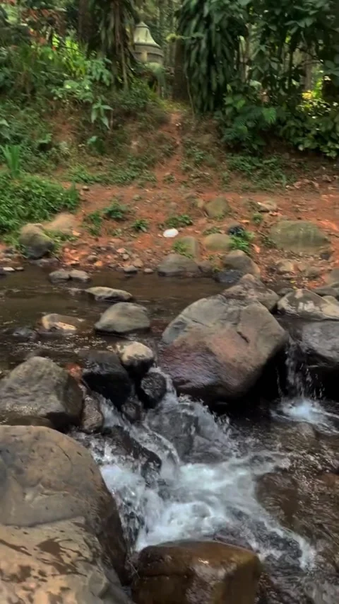 Natural view Video stock 218412205