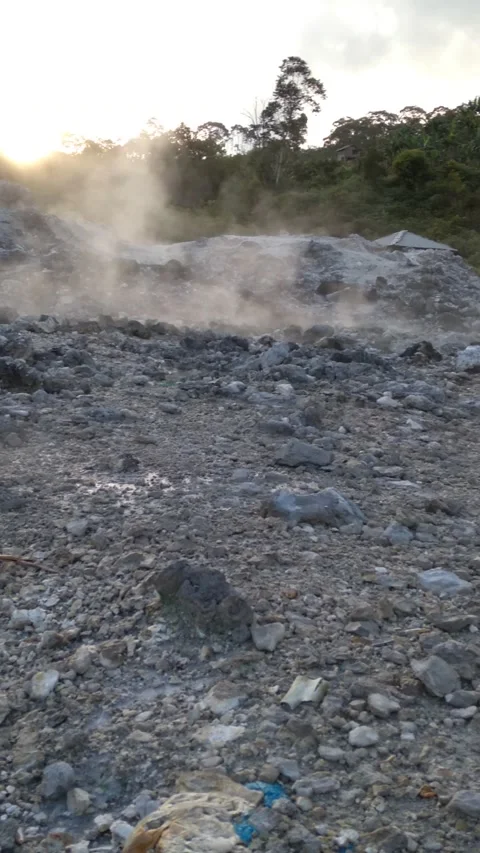 Natural view Video stock 219306037