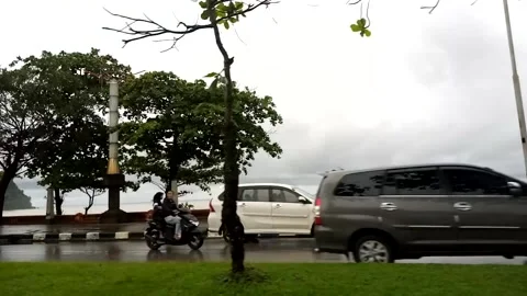 Natural View Stock Footage 226260864