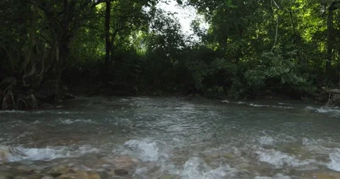Natural view of forest and small waterfall. Stock Footage 252342968