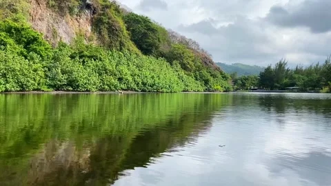 Natural view of the lake Stock Footage 280346752