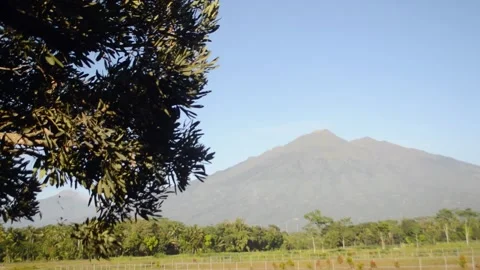 Natural view with morning sunlight Stock Footage 279780772