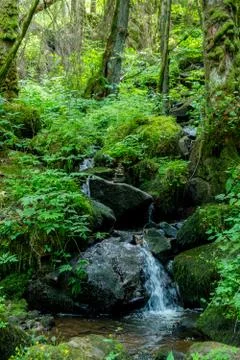 Natural view Stock Photos