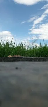 Natural View Foto stock