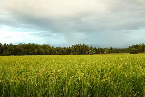 Natural view Stock Photos