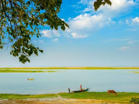 Natural view  Stock Photos