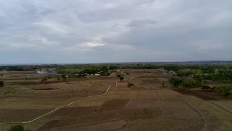 Natural view of rice fields during the dry season seen from a drone Stock Footage 290111203