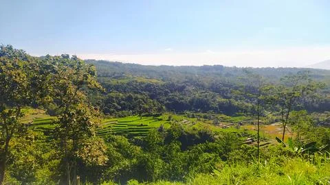 Natural view of rice fields, mountains from the top of the hill Stock Photos