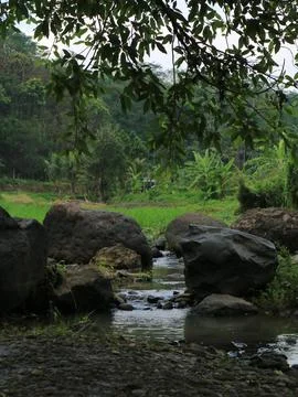 NATURAL VIEW ON THE RIVER Stock Photos