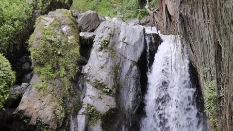 Natural view waterfall Stock Footage 197013973