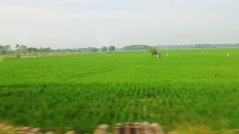Natural views of Indonesia from the train window Stock Footage 312862870