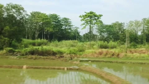 Natural views of Indonesia from the train window Stock Footage 312862872