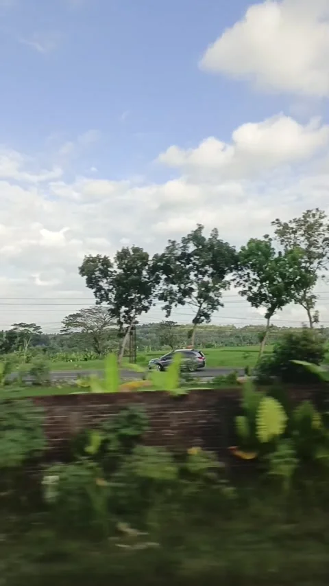 Natural views of Indonesia from the train window Stock Footage 312862996