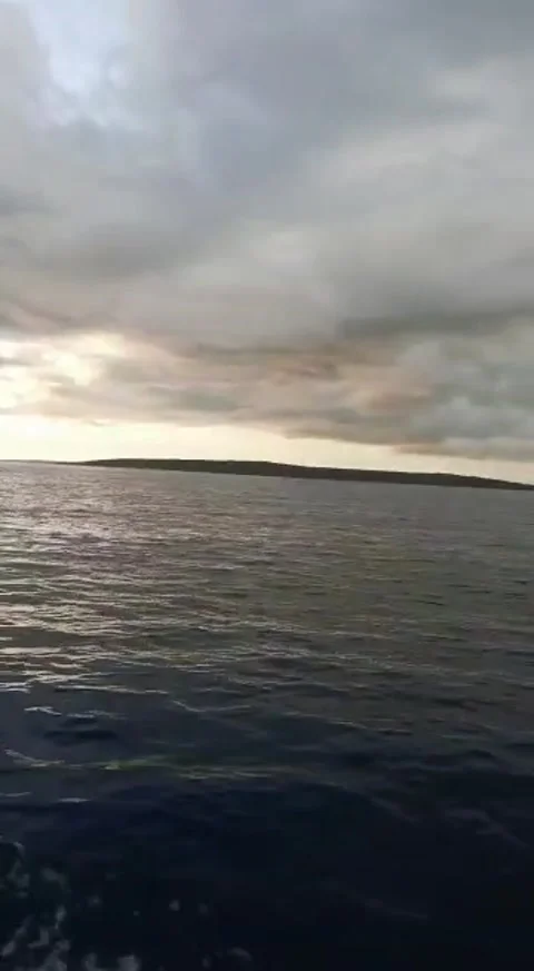 Natural viuw Stock Footage 168277477