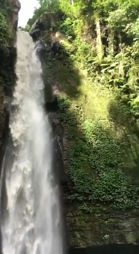 Natural viuw Stock Footage 168292692