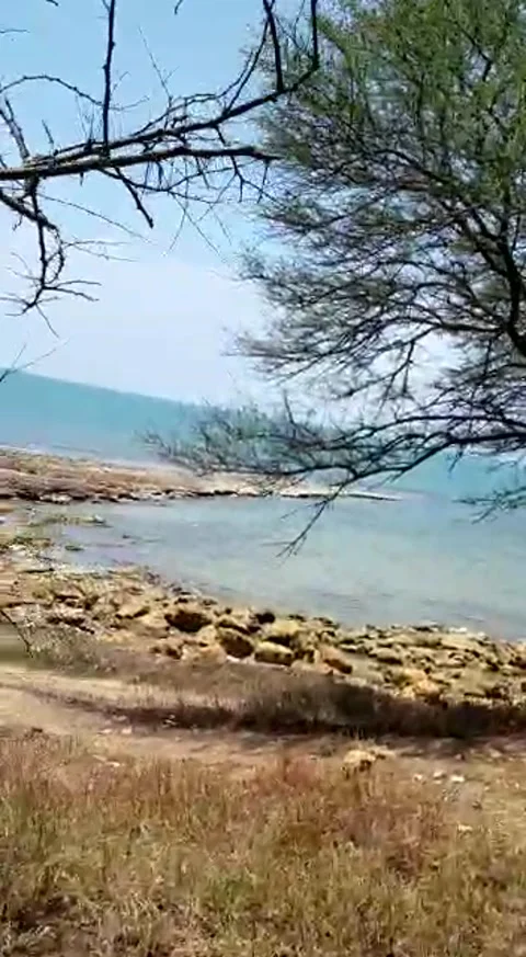 Natural viuw Stock Footage 168302203