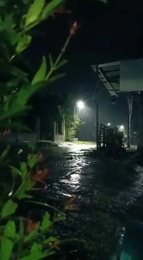 Natural viuw Stock Footage 168312088