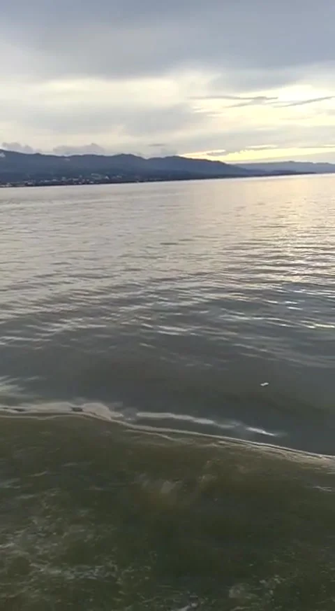 Natural viuw Stock Footage 168512423