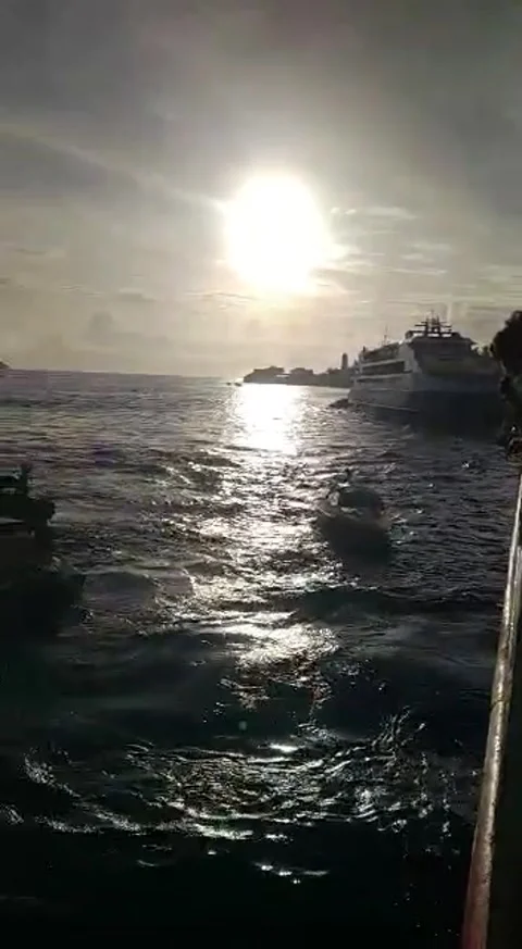 Natural viuw Stock Footage 168512688