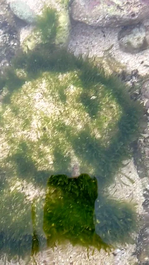 Natural viuw Stock Footage 168925352