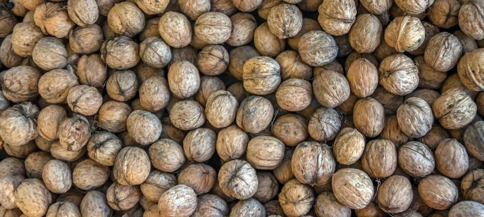 Natural walnut background pattern texture Abstract walnuts heap pattern Stock Photos
