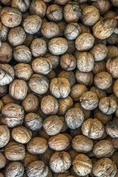 Natural walnut background pattern texture Abstract walnuts heap pattern backg Stock Photos