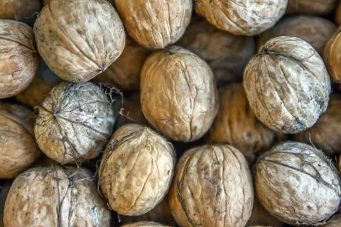 Natural walnut background pattern texture Abstract walnuts heap pattern backg 스톡 사진