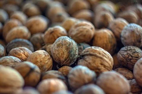 Natural walnut background pattern texture Abstract walnuts heap pattern backg 스톡 사진