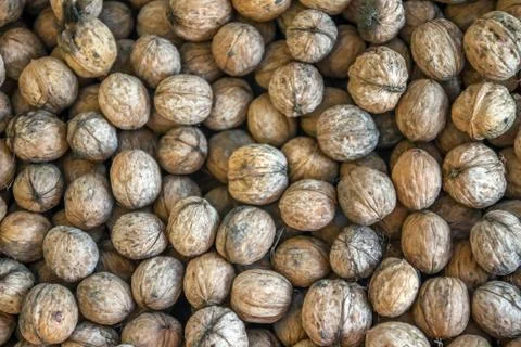 Natural walnut background pattern texture Abstract walnuts heap pattern backg Stock Photos