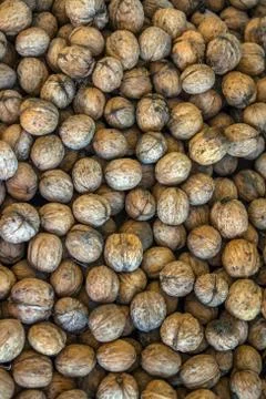 Natural walnut background pattern texture Abstract walnuts heap pattern backg Stock Photos