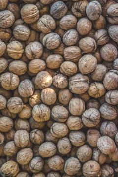Natural walnut background pattern texture Abstract walnuts heap pattern 스톡 사진