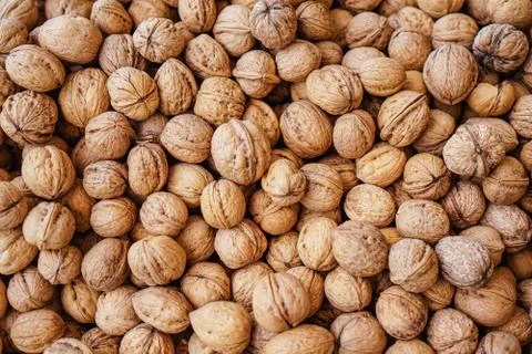 Natural walnut background pattern texture Top view Stock Photos