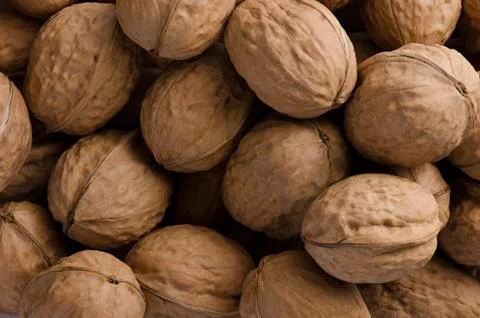 Natural walnut background pattern texture. Close up photography Stock Photos