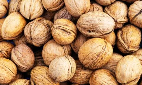 Natural walnut background pattern texture Abstract walnuts heap pattern backg Stock Photos