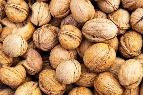 Natural walnut background pattern texture Abstract walnuts heap pattern backg Stock Photos