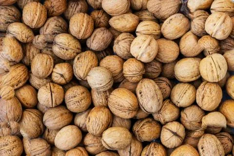 Natural walnut background pattern texture Abstract walnuts heap pattern backg Stock Photos