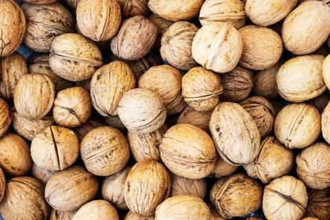 Natural walnut background pattern texture Abstract walnuts heap pattern backg 스톡 사진