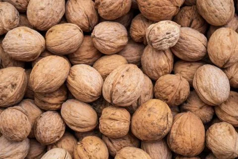 Natural walnut background pattern texture Abstract walnuts heap pattern backg Stock Photos
