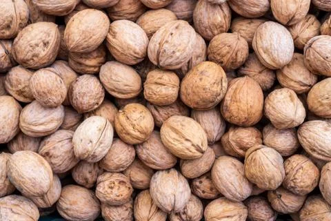 Natural walnut background pattern texture Abstract walnuts heap pattern backg Stock Photos