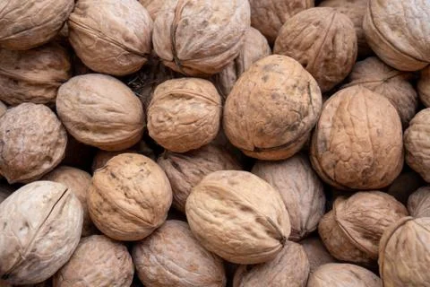 Natural walnut background pattern texture Abstract walnuts heap pattern backg 스톡 사진