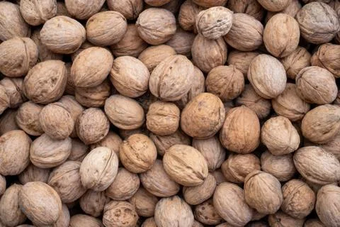 Natural walnut background pattern texture Abstract walnuts heap pattern backg Stock Photos