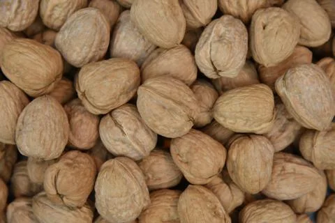 Natural walnut background pattern texture Abstract walnuts heap pattern backg Stock Photos