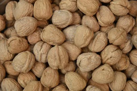 Natural walnut background pattern texture Abstract walnuts heap pattern backg Stock Photos
